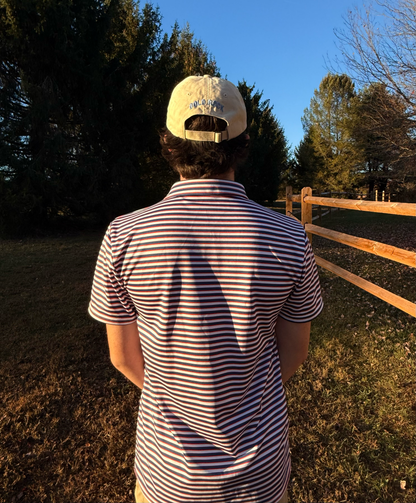 The Dogwood Striped Polo